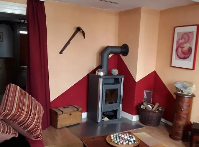 Bergmannhaus 公寓 *